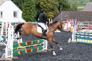 Class 6 - Fences not above 2'9